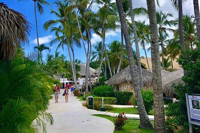 Round Trip Punta Cana Airport Shuttle - Is this Punta Cana shuttle right for you?