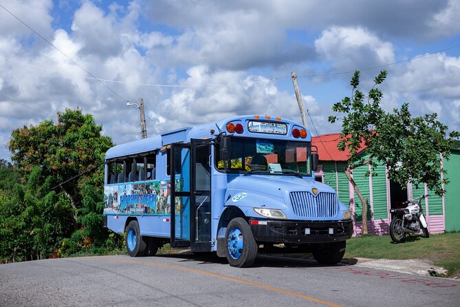 Safari and Higuey Church from Punta Cana - Sugarcane, coffee, cacao, and tobacco in the countryside
