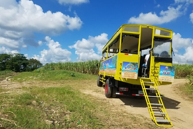 Safari Half Day Experience - Guides, language, and the feel of the ride