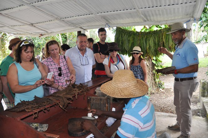 Safari Supreme Full Day Outdoor Adventure Punta Cana - A countryside ranch with horses and a freshwater river