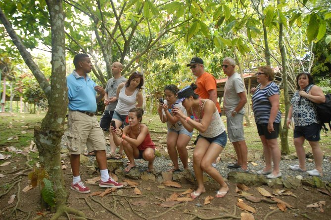 Safari Tour from Punta Cana - Starting at 7:30 am in a safari truck