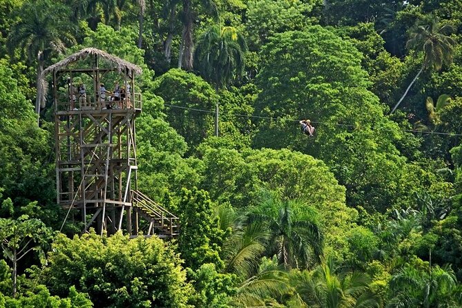 Safari Tour in Punta Cana todo el dia una Aventura inolvidable - Ziplining and the safari portion