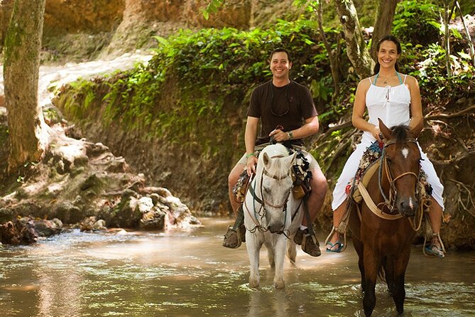 Samana: Bacardi Island and El Limon Waterfall - The main tradeoff: variety versus time