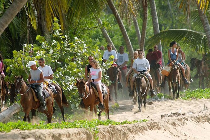 Samana + Cayo Levantado + Horseback Riding from Punta Cana with Lunch - Horseback riding to El Limón Waterfall