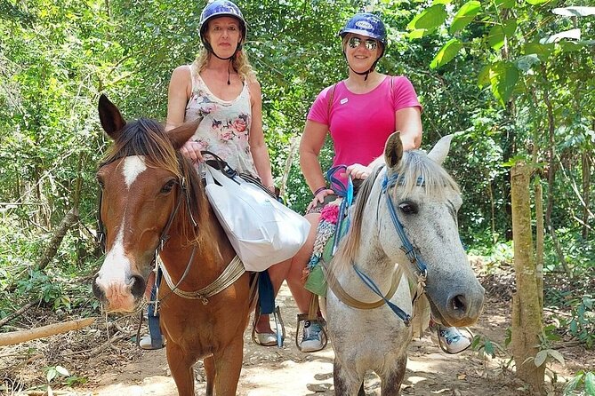 Samaná El Limón Waterfall and Isla Cayo Levantado from Punta Cana - Horseback through coffee and cocoa country