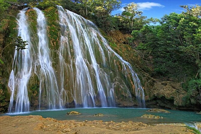Samaná Experience Whale – The Lemon Waterfall & Bacardi Island - What this Samaná day is really like
