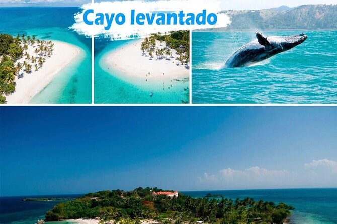 Samana Full Day -baracardi island, horses, lemon waterfall - Key points to know before you book