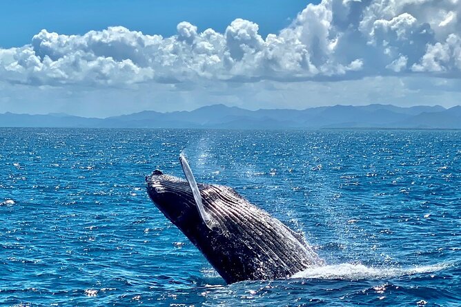 Samana Full Day -baracardi island, horses, lemon waterfall - Crossing Samana Bay by boat