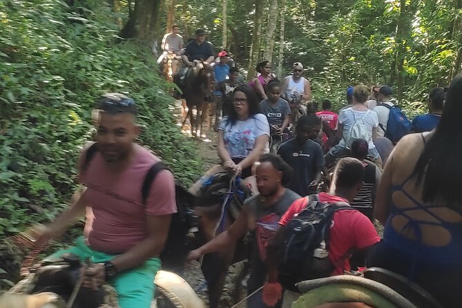Samana Full Day Waterfall, Safari and Beach - Horseback trails to the 50-meter cascade