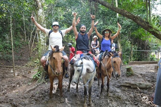 Samana - Key Levantado - Limon Waterfall - Horseback Riding - Lunch at Rancho Típico