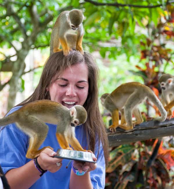 Samaná: Monkeyland and Open-Air Safari Truck Tour - Key points to know before booking