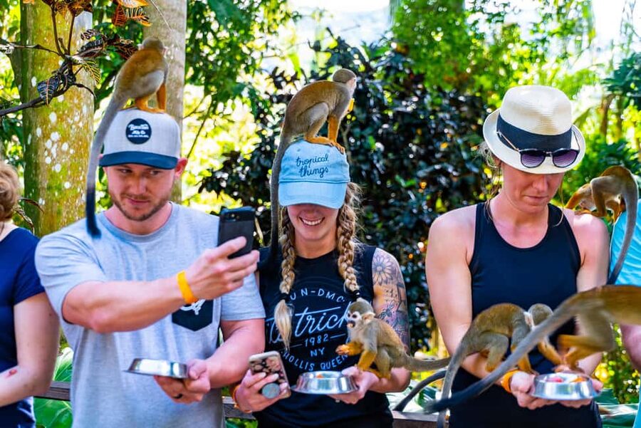 Samaná: Monkeyland and Open-Air Safari Truck Tour - Feeding the squirrel monkeys at Monkeyland