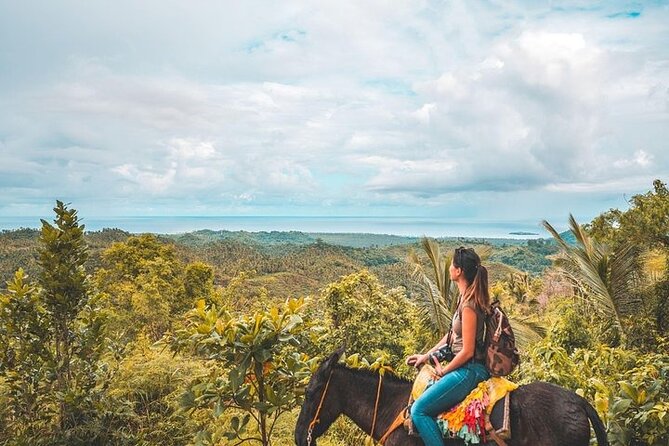 Samaná Whale Watching, waterfall & Cayo Levantado Adventure - A Dominican buffet at the ranch