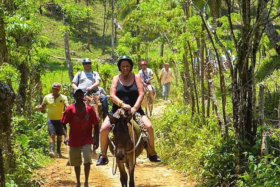 Samaná Whales Full Day, Cayo Levantado, Limón Waterfall - El Limón Waterfall, the day’s best active stop