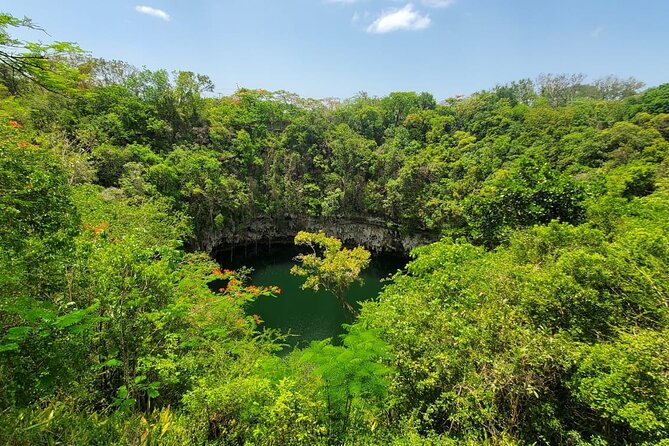 Santo Domingo City Tour From Punta Cana With Pick Up - How much walking should you expect?