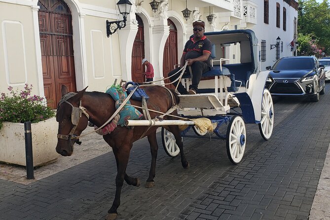 Santo Domingo City Tours Full Day From Punta Cana - El Conde and the streets of the Colonial City