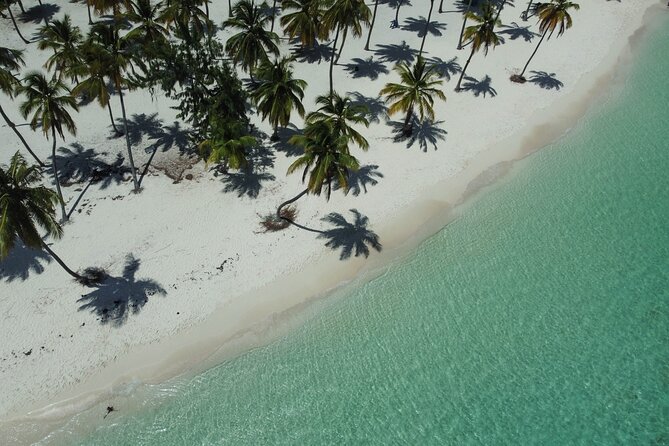 Saona by Speedboat: Private Beach & Snorkeling – Small Group - Snorkeling in clear water with fish and coral