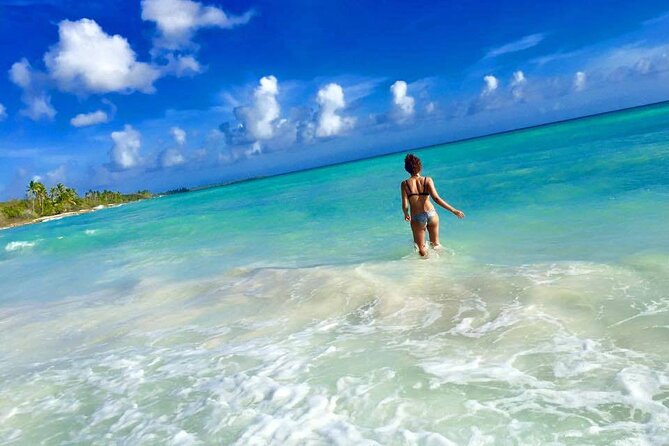Saona by Speedboat: Private Beach & Snorkeling – Small Group - The natural pool and Saona’s starfish