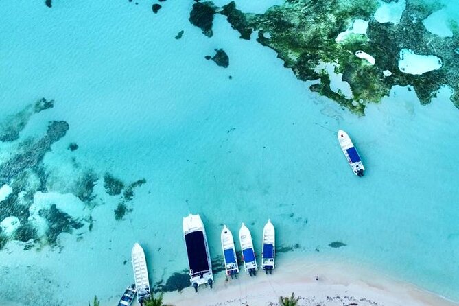 Saona by Speedboat: Private Beach & Snorkeling – Small Group - Dominican lunch and what the price covers