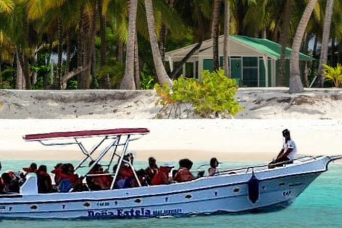 Saona by Speedboat: Private Beach & Snorkeling – Small Group - How the small-group format changes the day