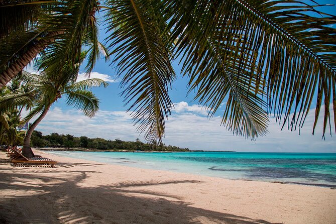 Saona Catamaran Cruise with Lunch and Natural Swimming Pool - Who will enjoy this Saona day trip most