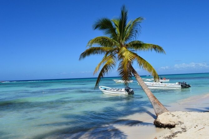 Saona Catamaran Cruise with Lunch and Natural Swimming Pool - Palmilla’s natural pool is the strongest part of the itinerary