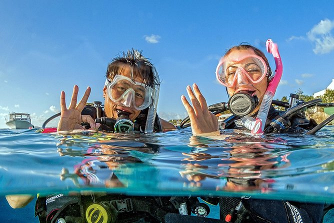 Saona Diving - Two underwater sites around Bayahibe and Saona