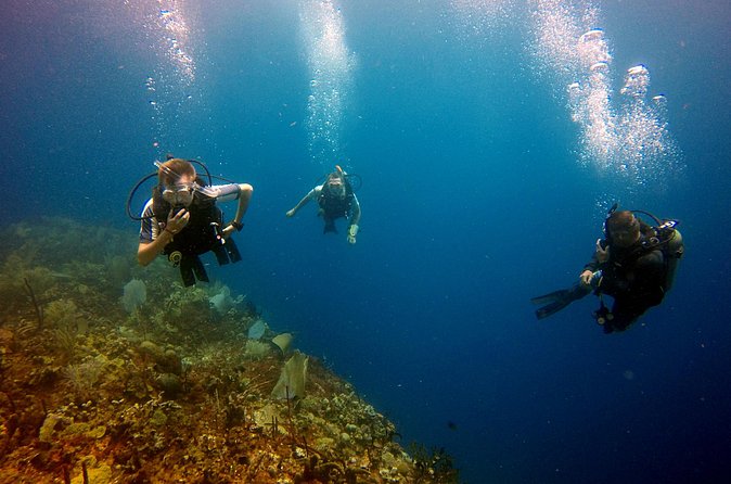 Saona Diving - Double tanks and the rhythm of the day