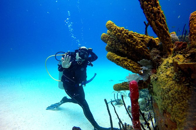 Saona Diving - What the 6:30 a.m. start means
