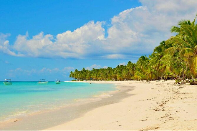 Saona Island Adventure: Natural Pool & All-Inclusive Drinks - The 7:00 am pickup and mainland transfer