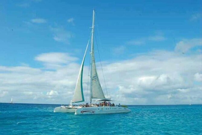 Saona Island Adventure: Natural Pool & All-Inclusive Drinks - Is $79 a fair price?