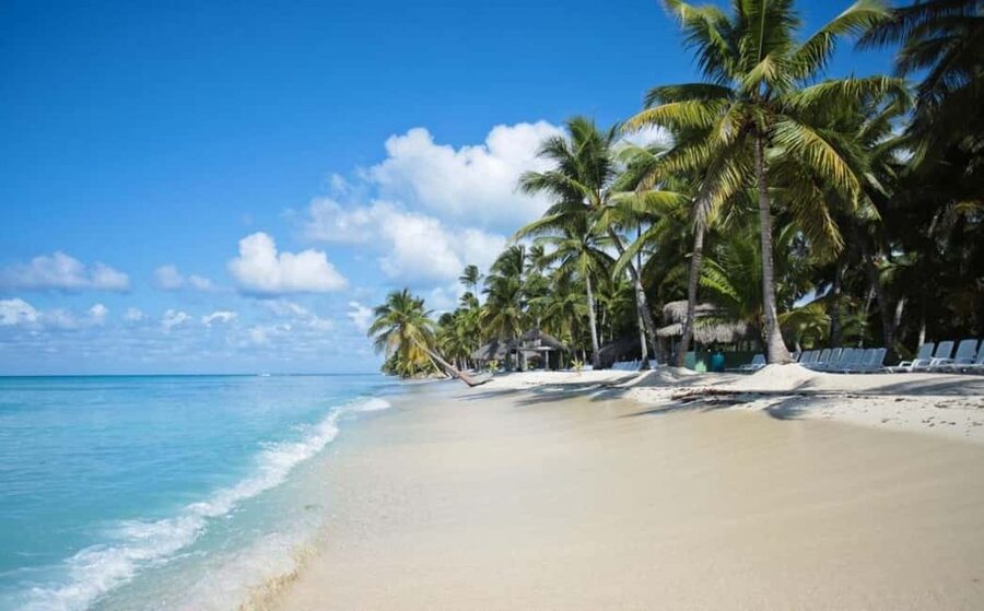 Saona Island all day with lunch and open bar departing from Punta Cana - Who will enjoy this tour most