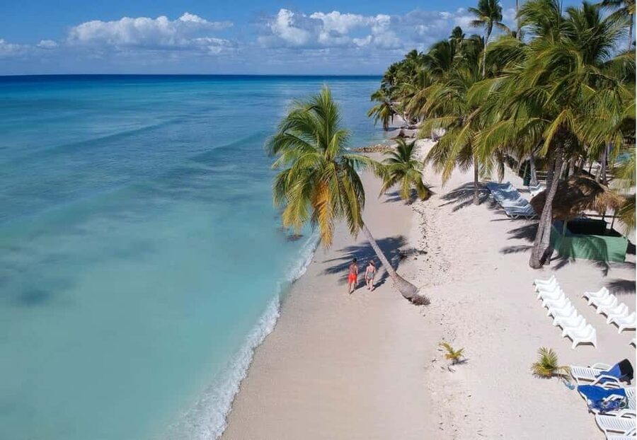 Saona Island all day with lunch and open bar departing from Punta Cana - The Punta Cana pickup can shape your morning