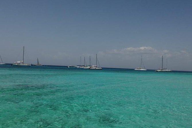 Saona Island All Inclusive Punta Cana - Who should book this day on the water