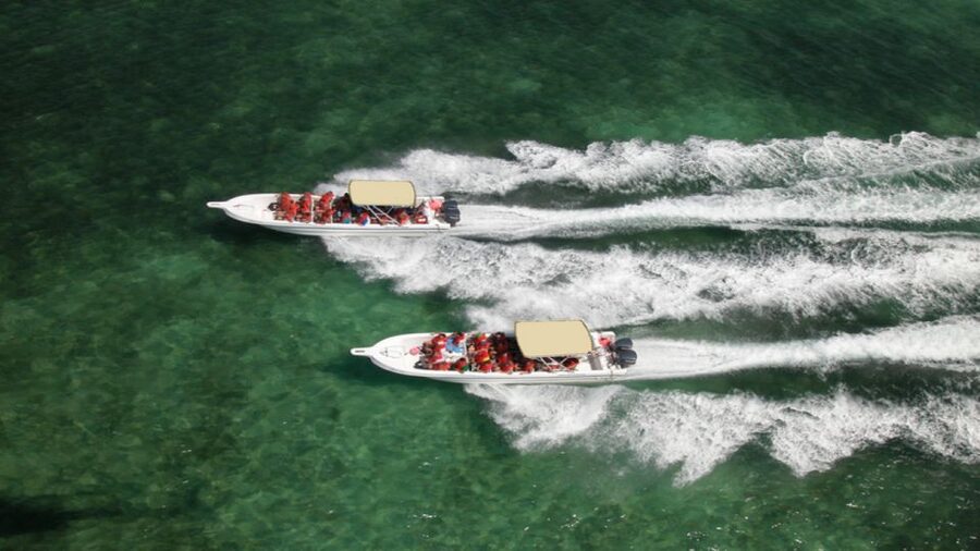 Saona Island All Inclusive Tour - Key points to know before booking