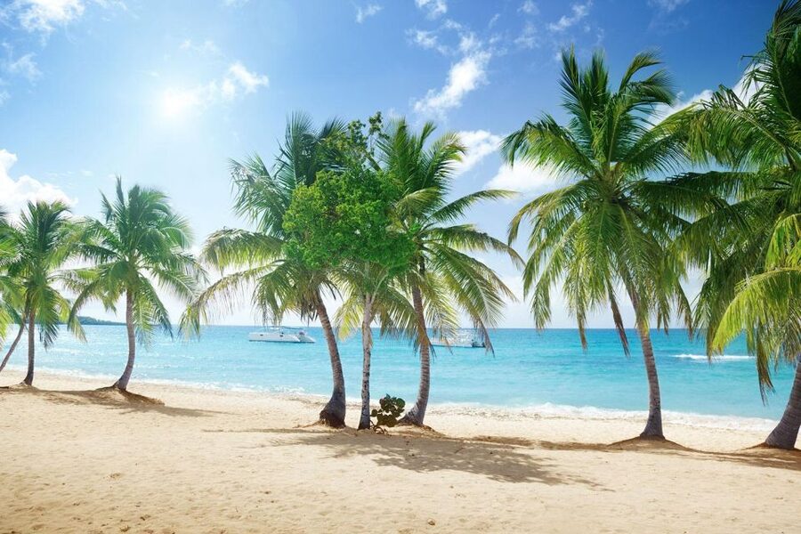 Saona Island All Inclusive Tour - Who will enjoy this Saona excursion