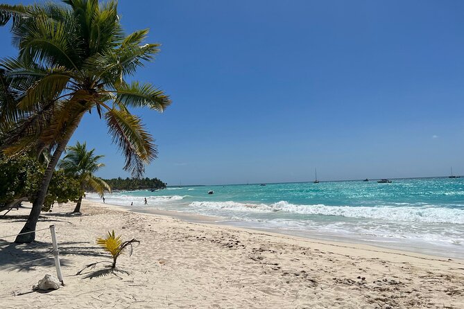 Saona Island and Chavon River Tour with Lunch and Drinks - What lunch and drinks really add to the price