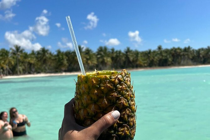Saona Island and Chavon River Tour with Lunch and Drinks - The speedboat is the decision point