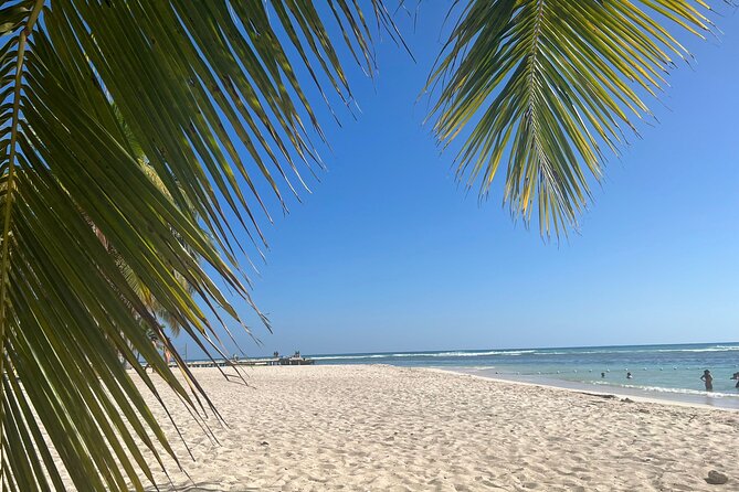 Saona Island and Chavon River Tour with Lunch and Drinks - Who will enjoy this Saona excursion