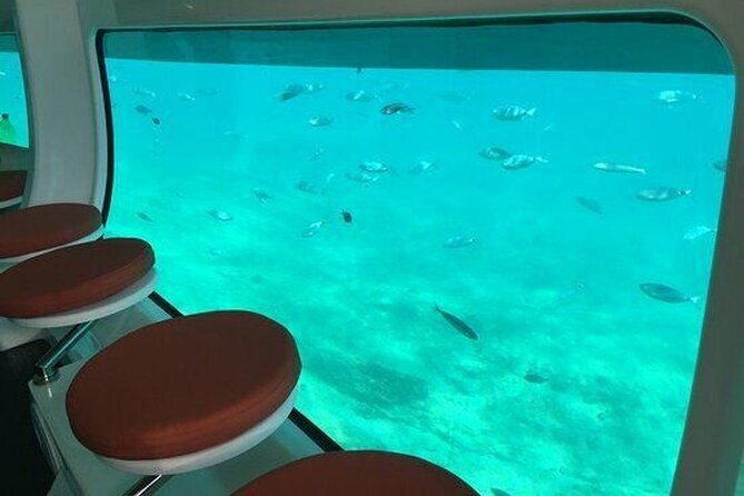 Saona Island at Yellow Submarine Exclusive Tour from Punta Cana - Snorkeling adds a more hands-on stop