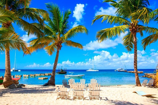 Saona Island by Paradise Travel - Key points to know before booking
