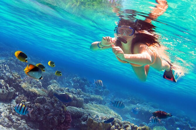 Saona Island by Paradise Travel - Who will enjoy this day most
