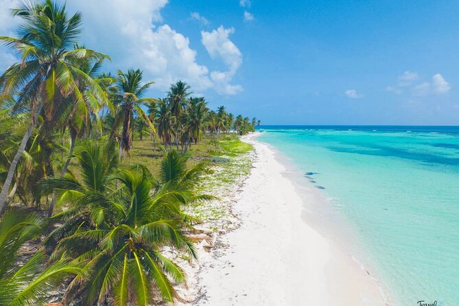 Saona Island Caramaran Adventure from Punta Cana With Lunch - Who will enjoy this Saona excursion