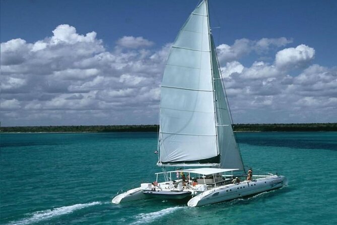 Saona Island Catamaran Adventure with Free Food and Transportation - Key points to know before you book