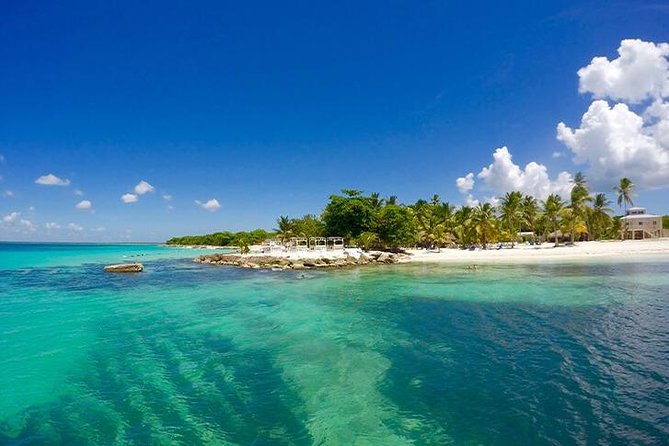 Saona Island Catamaran Cruise Experience (All Inclusive) - What the $99 Saona Island day really includes
