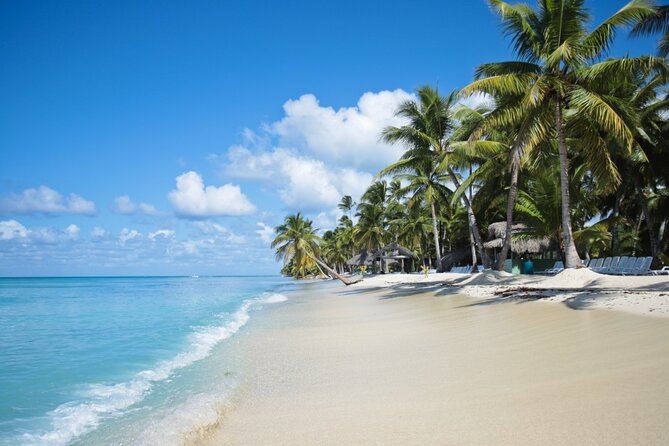 Saona Island Catamaran Cruise Experience (All Inclusive) - Snorkeling and the natural ocean pool
