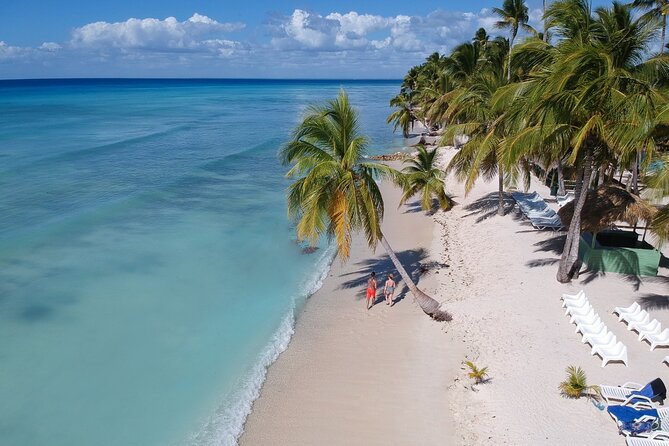 Saona Island Catamaran Cruise Experience (All Inclusive) - The real drawback: time, crowds, and organization