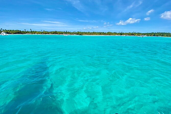 Saona Island Catamaran Cruise Experience (All Inclusive) - Who will enjoy this cruise most