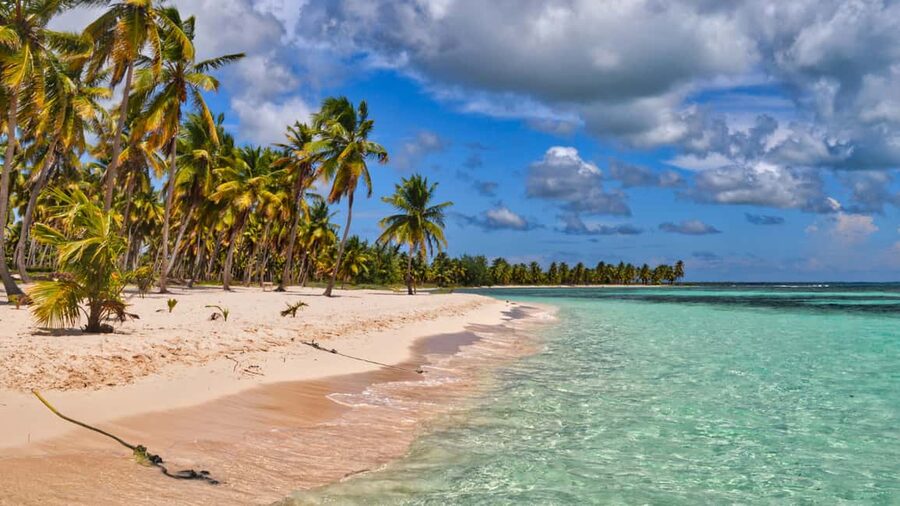 Saona Island: Catamaran Excursion with Lunch and Drinks - Key points to know before booking
