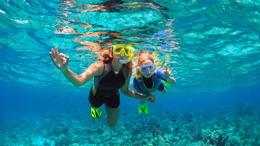 Saona Island: Catamaran Excursion with Lunch and Drinks - The famous Saona swimming stop